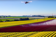 Drones Agricoles : Pionniers de l'Agriculture Moderne